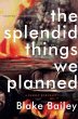 The Splendid Things We Planned: A Family Portrait Blake Bailey Author
