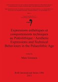 Expressions esthétiques et comportements techniques au Paléolithique / Aesthetic Expressions and Technical Behaviours in the Palaeolithic Age