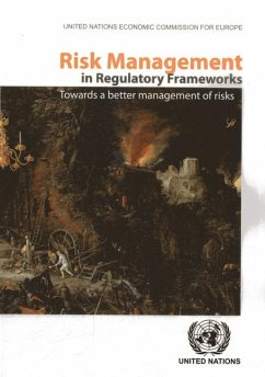 Risk Management in Regulatory Frameworks