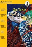 Sea Turtle