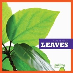 Leaves - Glaser, Rebecca Stromstad