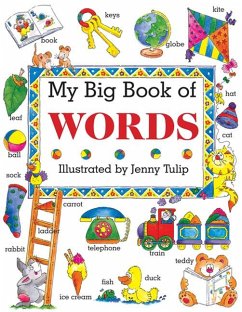 My Big Book of Words - Clarke, Isabel