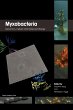 Myxobacteria - Bild 1