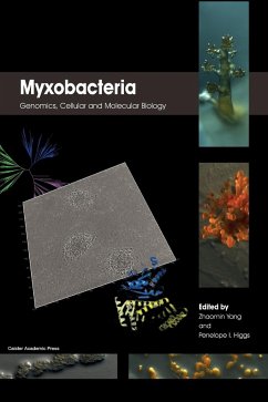 Myxobacteria