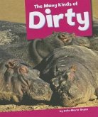 The Many Kinds of Dirty