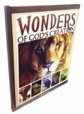 Wonders of Gods Creation