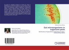 Gut microorganisms in sugarcane pests