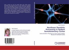 Nonlinear Dendritic Processing in Rodent Somatosensory Cortex - Rapoport, Sophia