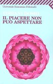 Il piacere non può aspettare Il piacere non può aspettare