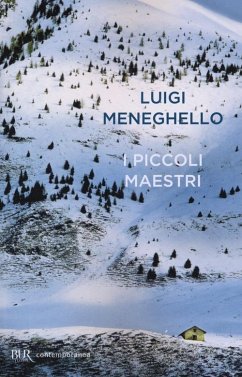 Cover I piccoli maestri