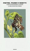 Pietre, piume e insetti. L'arte di raccontare la natura