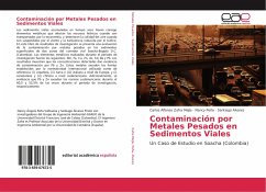 Contaminación por Metales Pesados en Sedimentos Viales - Zafra Mejía, Carlos Alfonso;Peña, Nancy;Alvarez, Santiago