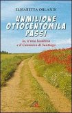 Unmilioneottocentomila passi. Io, il mio bambino e il Cammino di Santiago