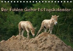 Der Fohlen-Geburtstagskalender (Tischkalender immerwährend DIN A5 quer) - Berg, Martina