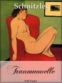 Traumnovelle (eBook, ePUB)