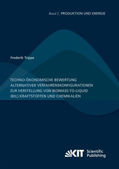 Techno-ökonomische Bewertung alternativer Verfahrenskonfigurationen zur Herstellung von Biomass-to-Liquid (BtL) Kraftstoffen und Chemikalien - Trippe, Frederik