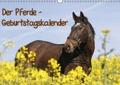 Der Pferde-Geburtstagskalender (Wandkalender immerwährend DIN A3 quer) - Lindert-Rottke, Antje