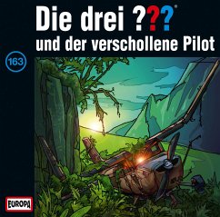 Die drei Fragezeichen und der verschollene Pilot / Die drei Fragezeichen - Hörbuch Bd.163 (1 Audio-CD)
