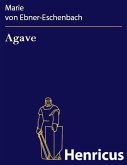 Agave (eBook, ePUB)