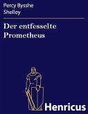 Der entfesselte Prometheus (eBook, ePUB)