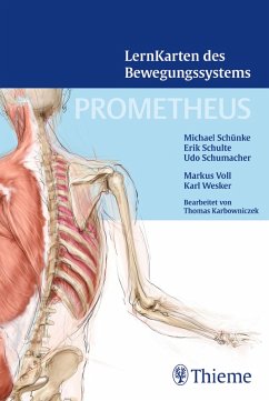 Prometheus Lernkarten des Bewegungssystems - Schünke, Michael; Schulte, Erik; Schumacher, Udo
