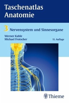 Nervensystem und Sinnesorgane / Taschenatlas der Anatomie Bd.3 - Kahle, Werner; Frotscher, Michael