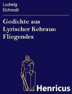 Cover Gedichte aus Lyrischer Kehraus: Fliegendes (eBook, ePUB)