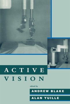 Cover Active Vision