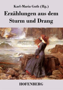Cover Erzählungen aus dem Sturm und Drang
