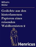 Gedichte aus den hinterlassenen Papieren eines reisenden Waldhornisten 2 (eBook, ePUB)