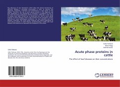 Acute phase proteins in cattle