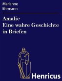Amalie Eine wahre Geschichte in Briefen (eBook, ePUB)