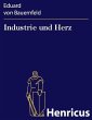 Industrie und Herz (eBook, ePUB) - Bild 1