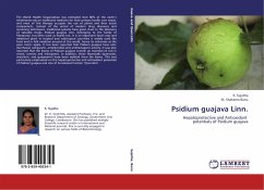 Psidium guajava Linn. - Sujatha, K.;Banu, M. Shakeera