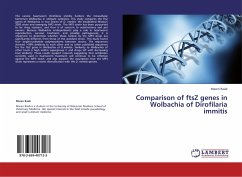 Comparison of ftsZ genes in Wolbachia of Dirofilaria immitis