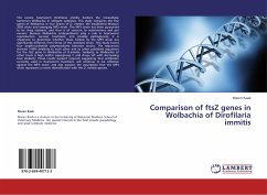 Comparison of ftsZ genes in Wolbachia of Dirofilaria immitis - Raab, Maren