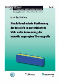Simulationsbasierte Bestimmung der Risstiefe in austenitischem Stahl unter Anwendung der induktiv angeregten Thermografie - Nöthen, Matthias