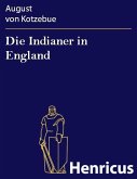 Die Indianer in England (eBook, ePUB)