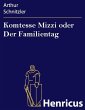 Komtesse Mizzi oder Der Familientag... - Bild 1