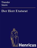 Der Herr Etatsrat (eBook, ePUB)