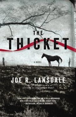 The Thicket - Lansdale, Joe R.