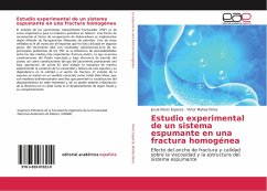 Estudio experimental de un sistema espumante en una fractura homogénea - Pérez Esparza, Josué;Matías Pérez, Víctor