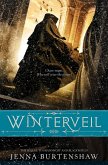 Winterveil (eBook, ePUB)
