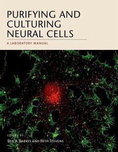 Purifying and Culturing Neural Cells - Barres, Ben A