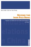 Beyond the Iron Rice Bowl (eBook, PDF)