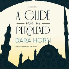 A Guide for the Perplexed - Horn, Dara