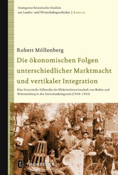 Die ökonomischen Folgen unterschiedlicher Marktmacht und vertikaler Integration - Möllenberg, Robert
