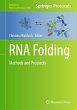 RNA Folding - Bild 1