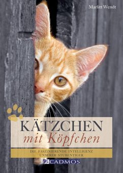 Kätzchen mit Köpfchen (eBook, ePUB) - Wendt, Marlitt