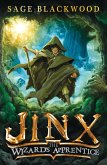 Jinx: The Wizard's Apprentice (eBook, ePUB)
